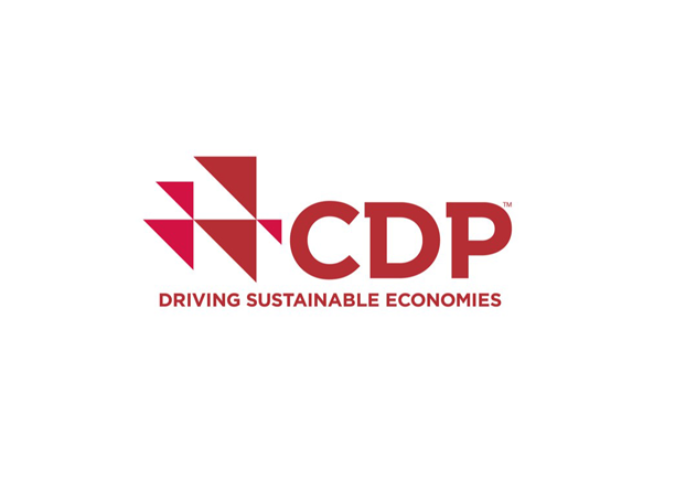A CDP Worldwide emblémája